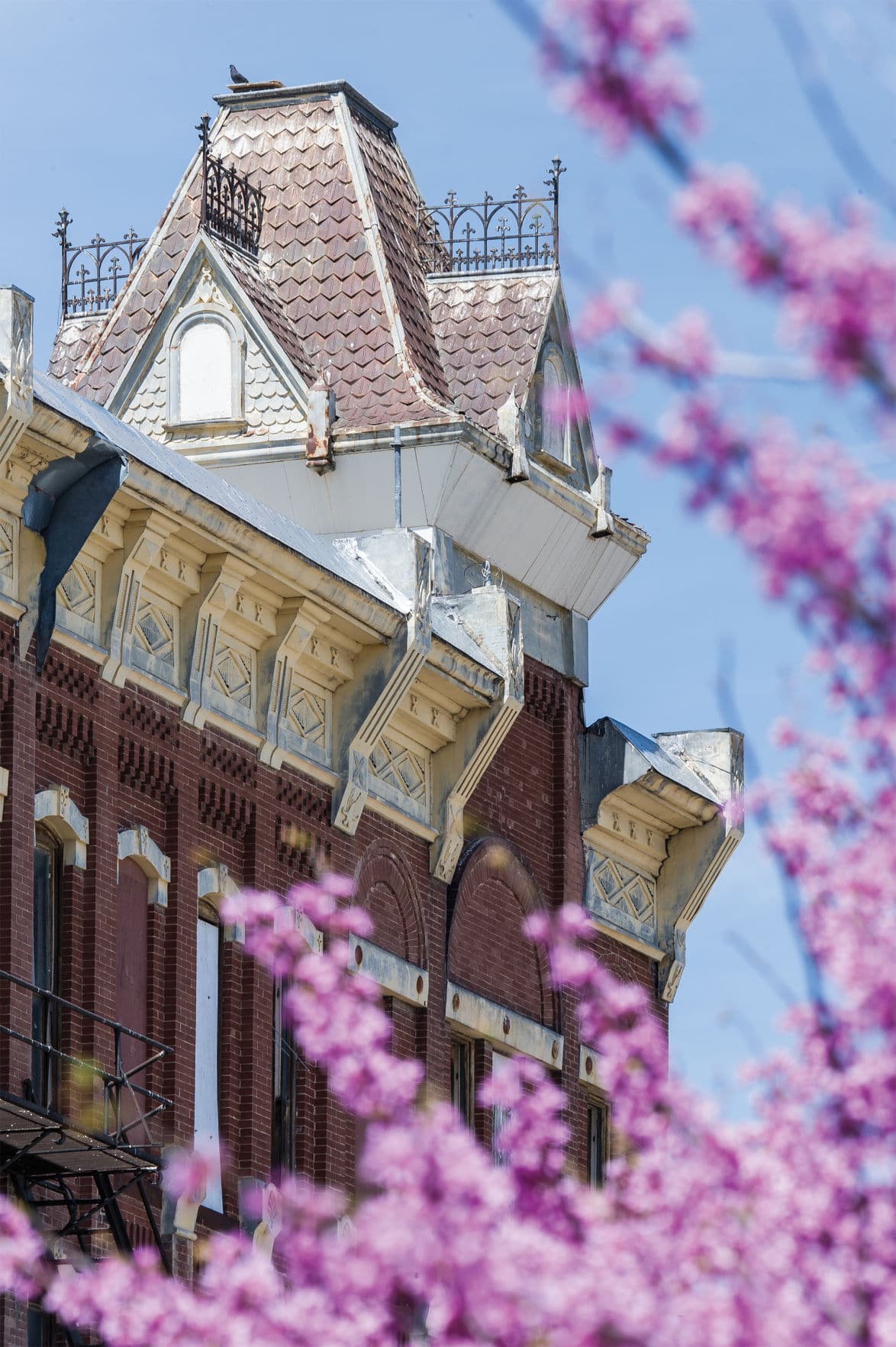 The Windsor Hotel: A Garden City Icon