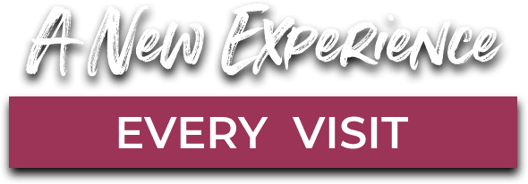 a new experience every visit