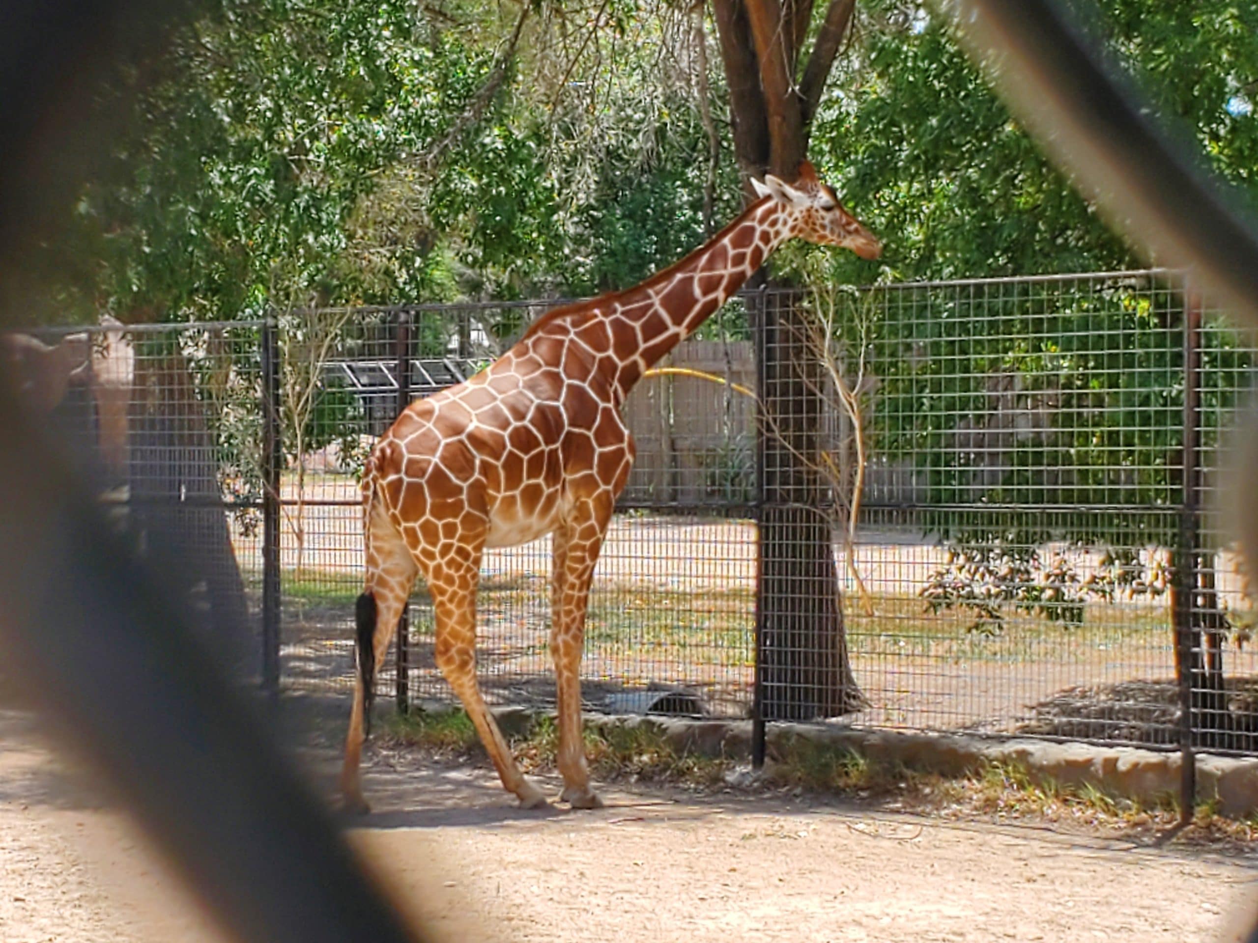 Lee Richardson Zoo | Zoo in Garden City, KS